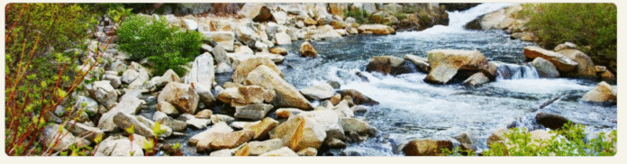 ONLINE QUIZ OF SRS FOR GRADE 3 ON Unit 7: Environment in the Sector (P3)