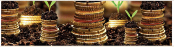 SRS ONLINE QUIZ : UNIT 5 ECONOMY