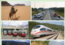 Primary 3 – Unit 7: TRANSPORT Quiz