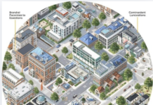 P3 ONLINE TEST OF SOCIAL STUDIES AND RELIGIOUS EDUCATION UNIT 2 : OUR SECTOR P3 ONLINE TEST OF SOCIAL STUDIES AND RELIGIOUS EDUCATION UNIT 2 : OUR SECTOR