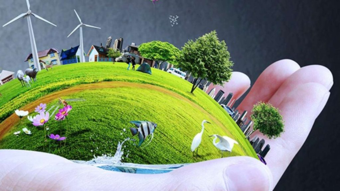 Online Quiz for Primary 3 - Unit 6 Quiz: Environment in Our Sector